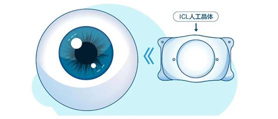 1767058914164385.jpg clip_image004.jpg