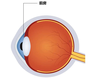 1767058925335687.png clip_image006.png