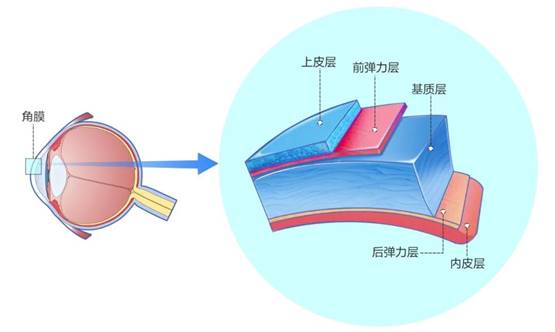 1768876262787228.jpg clip_image006.jpg